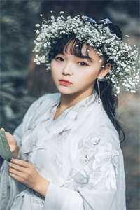 穿进无限文科高考